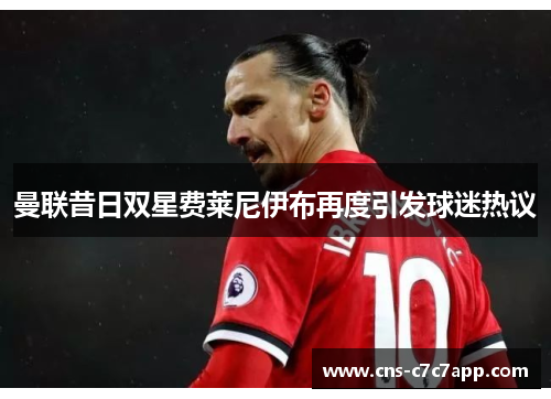 曼联昔日双星费莱尼伊布再度引发球迷热议